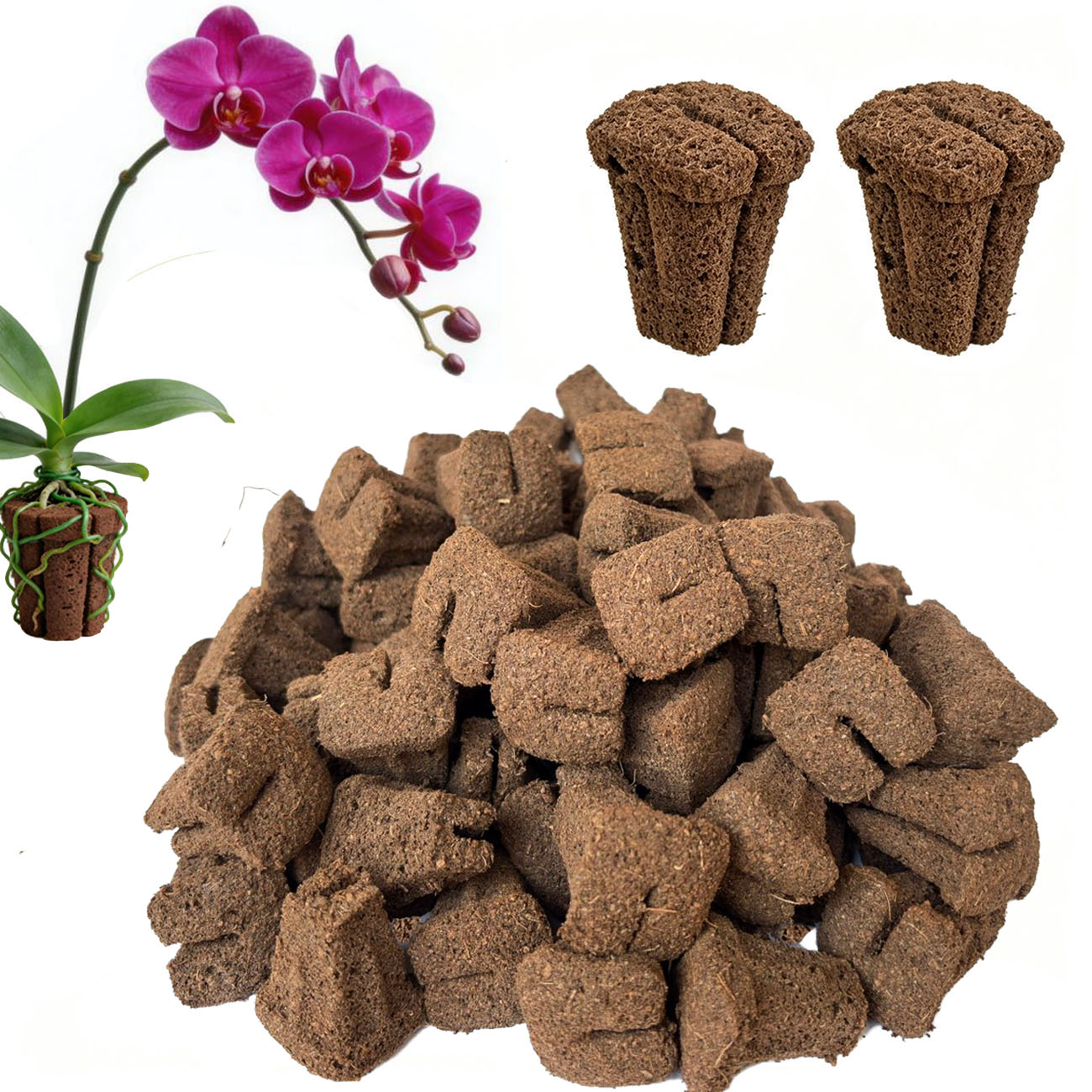 Spugne per Germinazione Rapida - Nursery recensione e prezzo