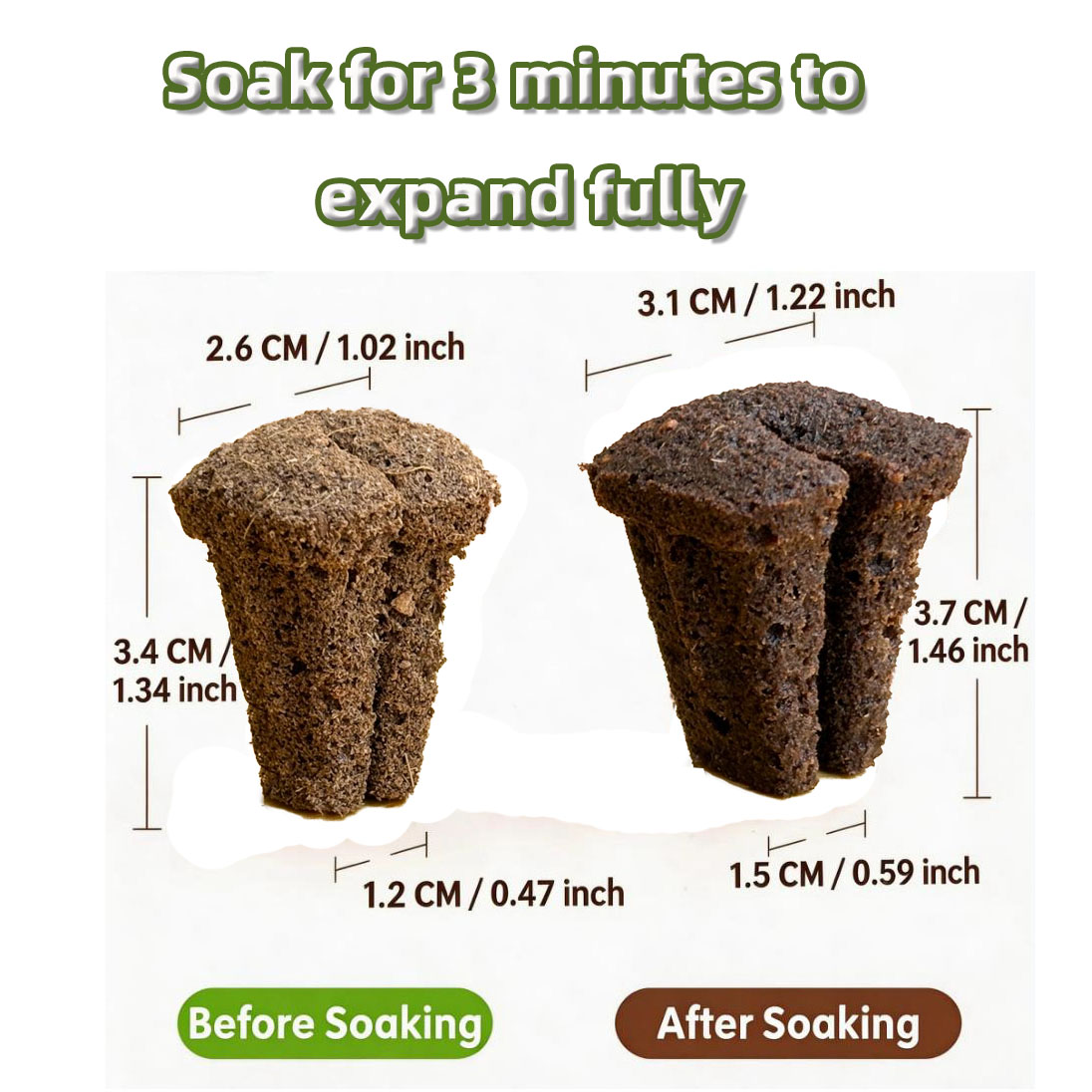 Spugne per Germinazione Rapida - Nursery recensione e prezzo