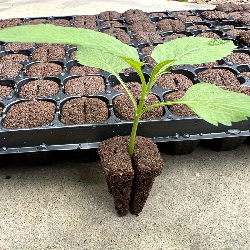 Spugne per Germinazione Rapida - Nursery recensione e prezzo